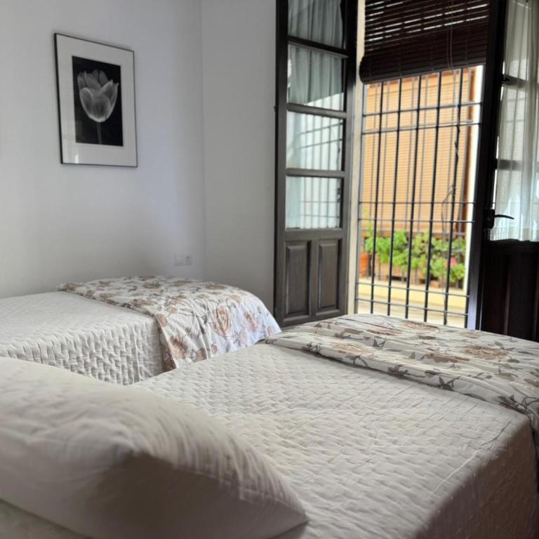 Apartamento Plaza De La Corredera - Apartamento - 35