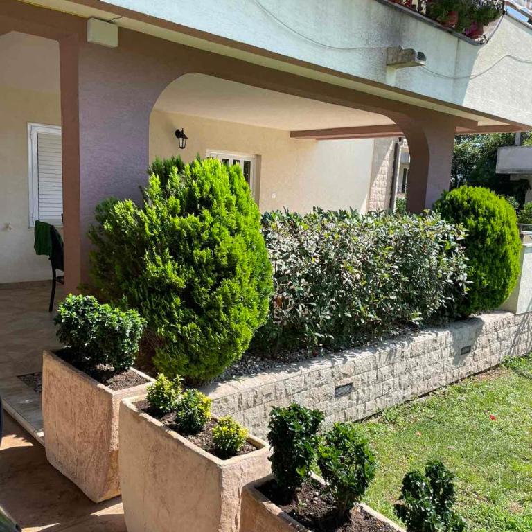 Vila Dorotea - One-Bedroom Apartment - 5