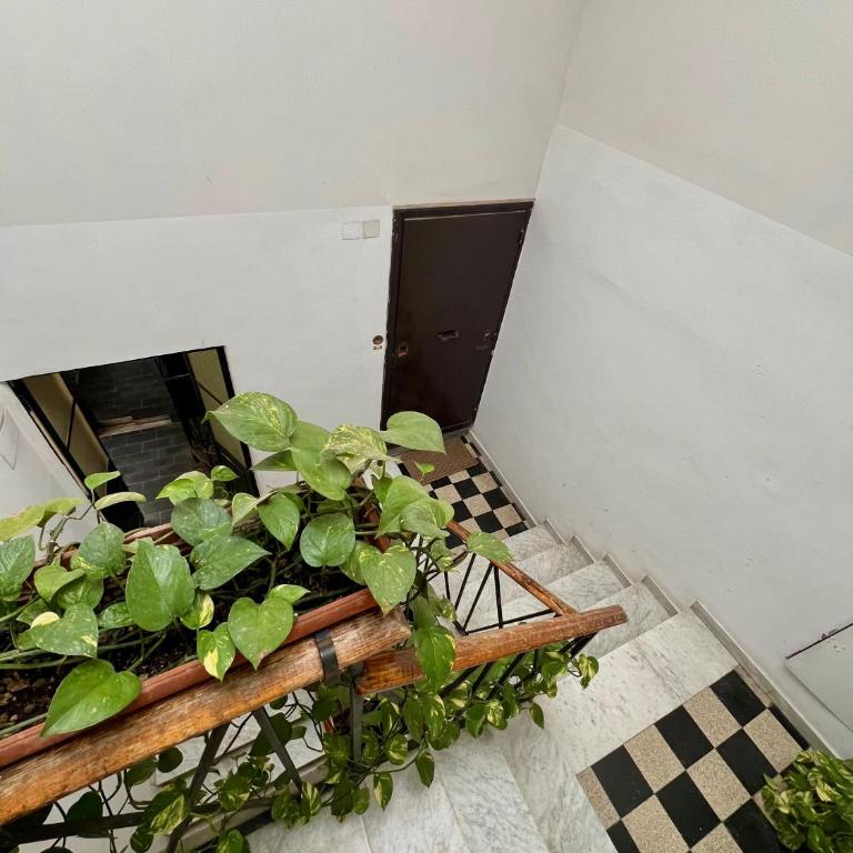 La Consulta a Banchi - Two-Bedroom House - 4