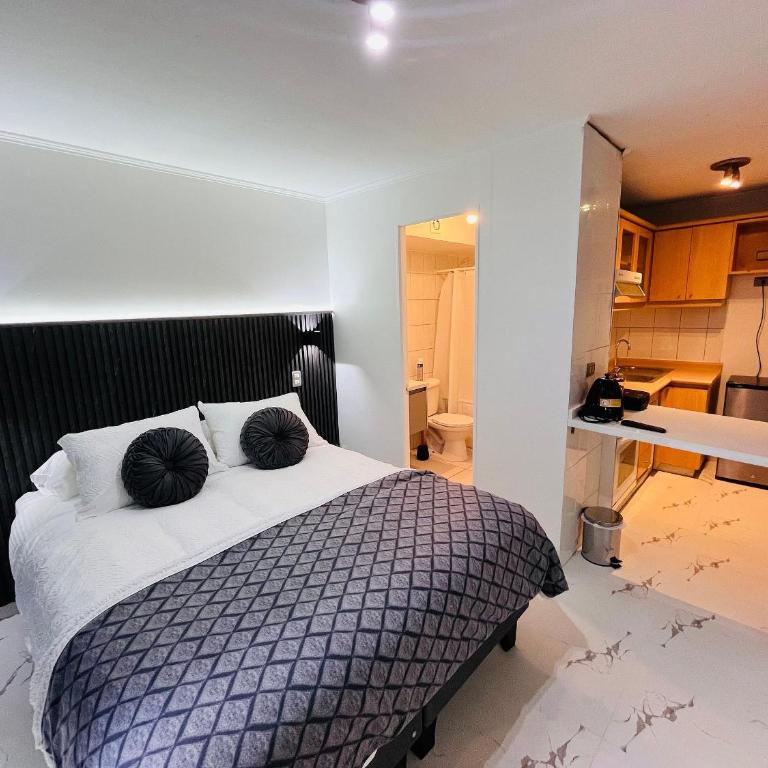 Hermoso Departamento en Santiago Centro - Apartamento con balcón - 6
