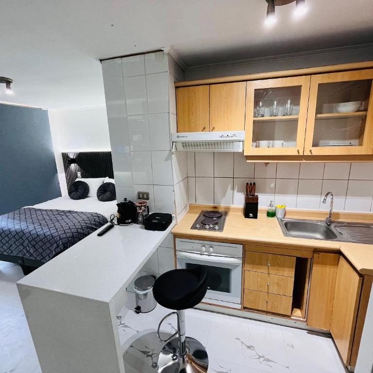 Hermoso Departamento en Santiago Centro - Apartamento con balcón - 10
