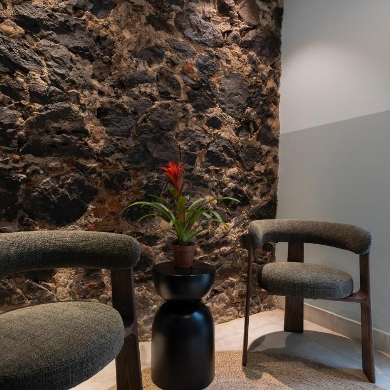 Apartamentos Boutique Casco Histórico - Apartamento de 2 dormitorios - 4