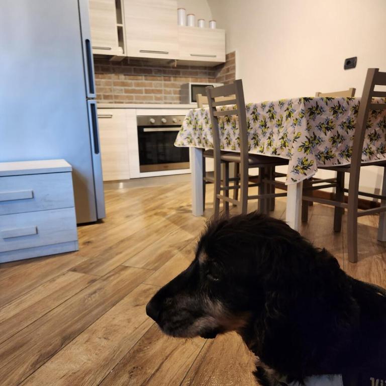 Casa Pentelho Bergamo - Appartamento Monolocale con 1 Letto Matrimoniale - 8