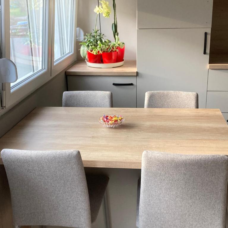Apartman Dara - Novi Beograd - Apartman sa 1 Spavaćom Sobom - 5