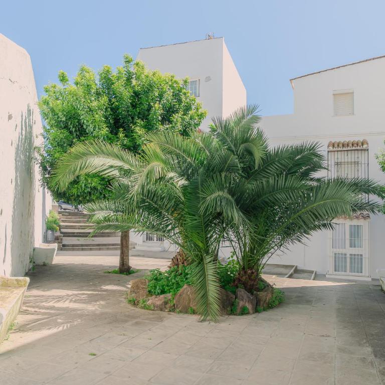 Los Naranjos - Hello Vejer - Apartamento de 2 dormitorios - 11