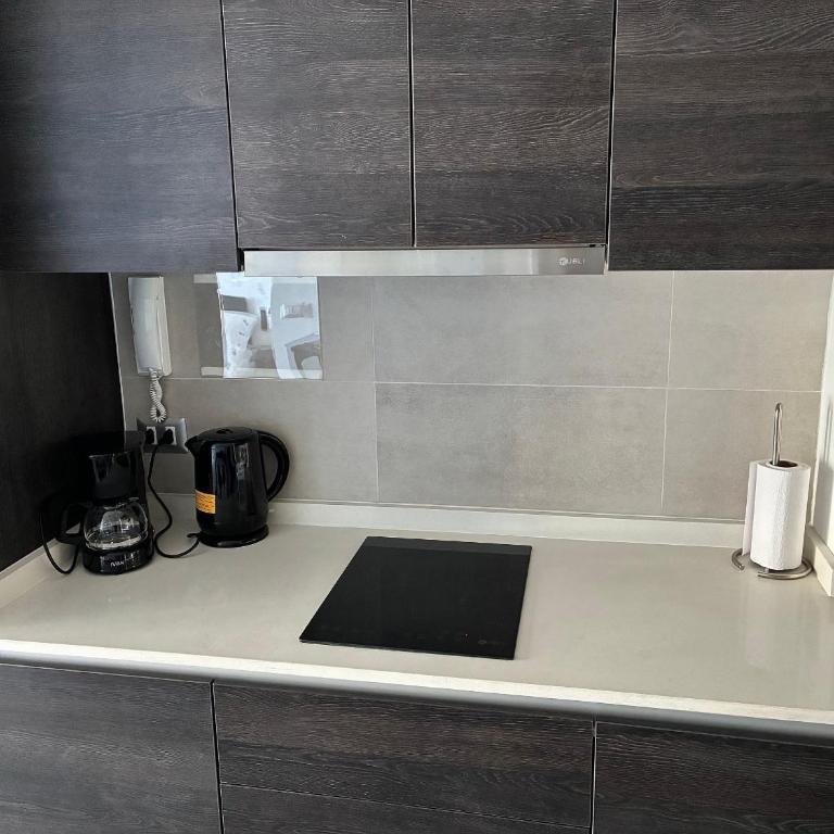 Terrace Studios near La Moneda - Studio Apartment - 23