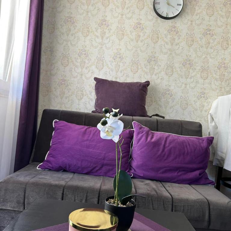 Apartman Boskovic K13 A12 - Apartman sa 1 Spavaćom Sobom - 12