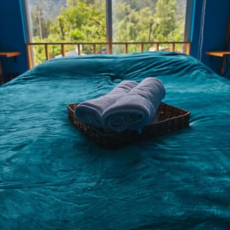 Plaza Araucaria Apart Hotel - Two-Bedroom Apartment with Mountain View - 10