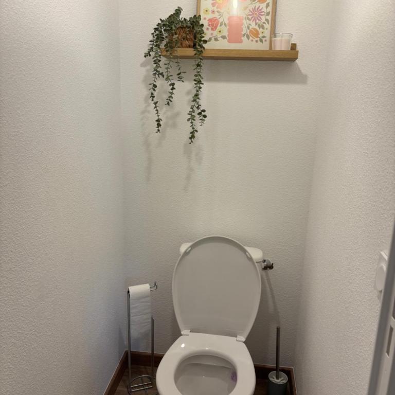 Chez Louapo - Appartement 1 Chambre - 4