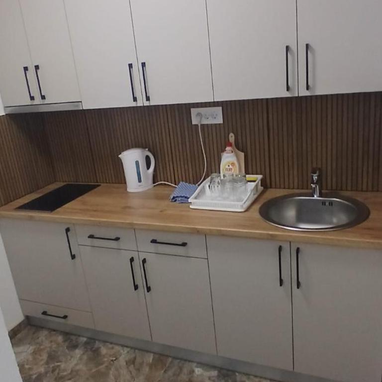 Centar Banja luka apartment - Apartman sa 2 Spavaće Sobe - 20