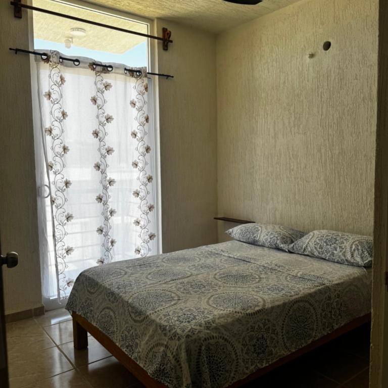 Pedacito de calma - Apartment - 28