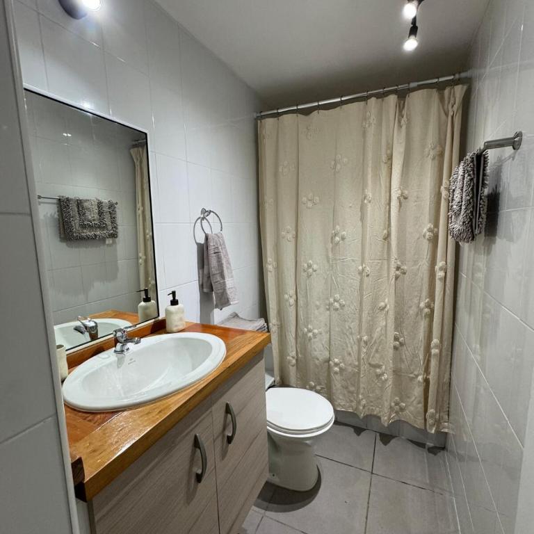Acogedor apartamento en Pucón, a minutos del centro - One-Bedroom Apartment - 9