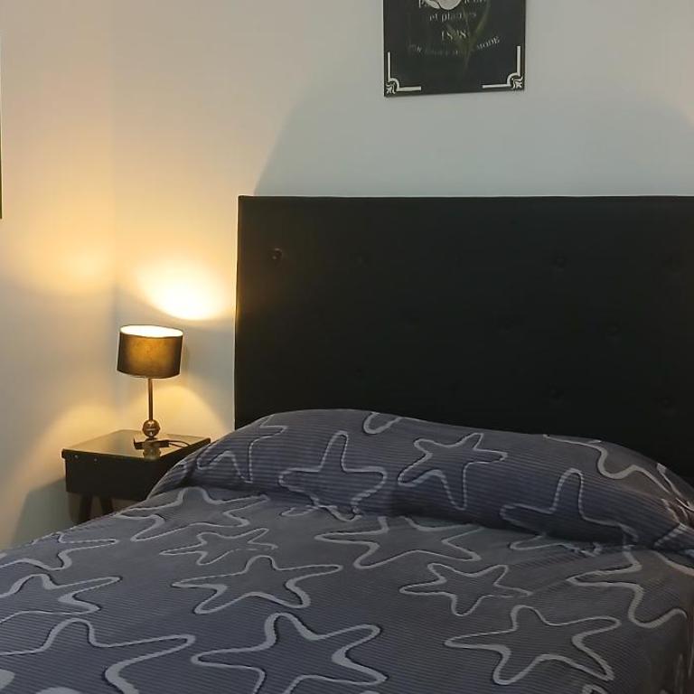 DEPARTAMENTO EN PLAZA COLON, 200 MTS DE LA PLAYA - Apartamento de 1 dormitorio - 1