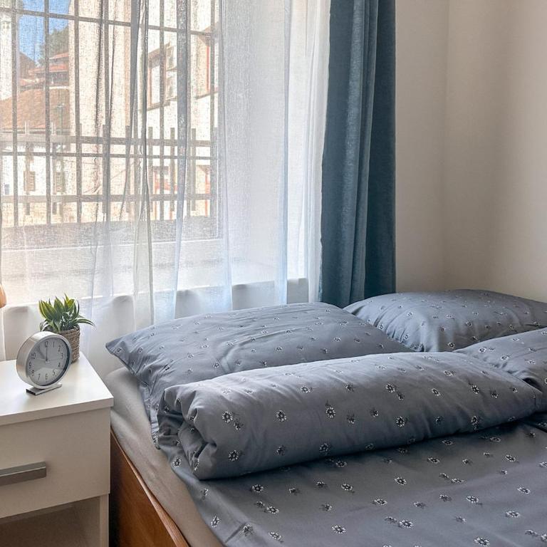 Cheyf Duck Stay at Baščaršija - Old Town - One-Bedroom Apartment - 13