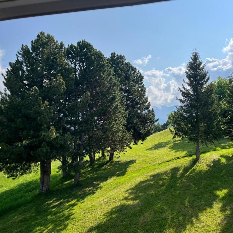 Casa Lilly - Appartamento con Vista Montagna - 17