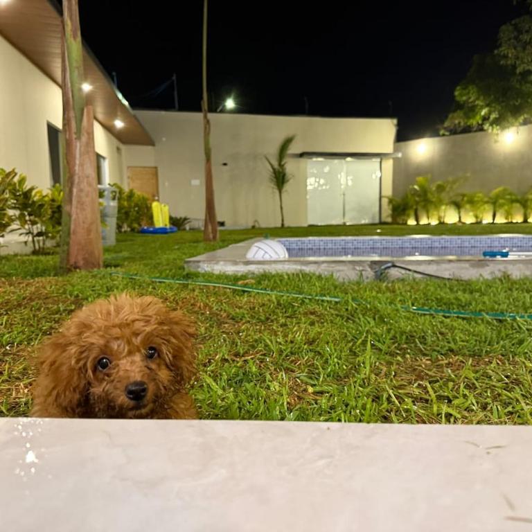 House in Ica with pool, grill and large garden - Villa with Private Pool - 23