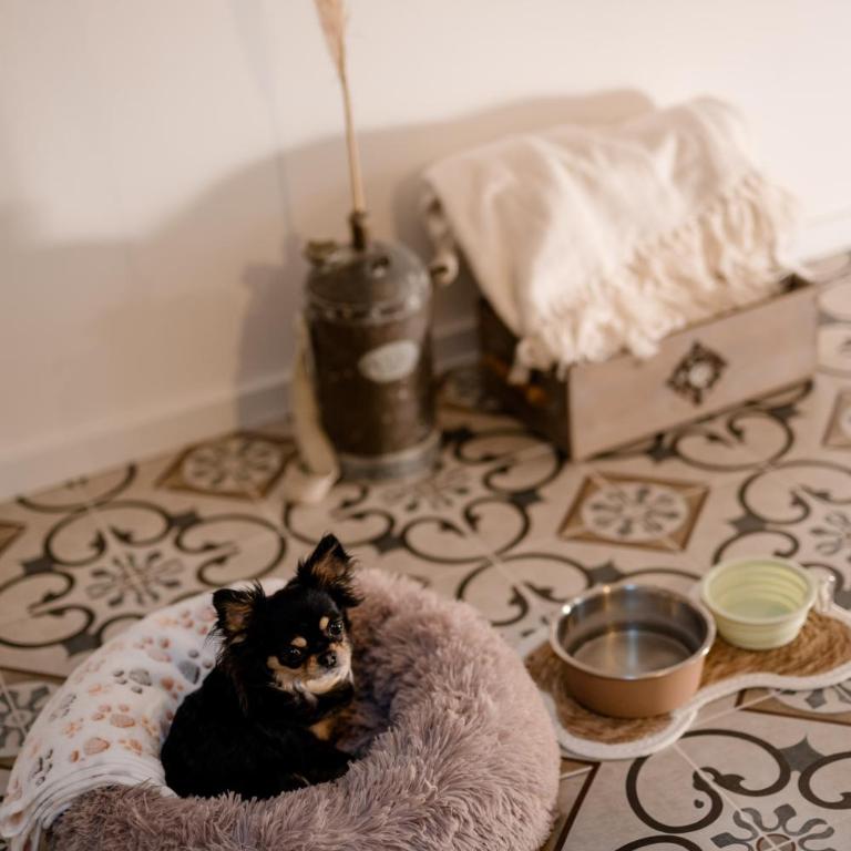 Casa del Cuore - Attico con terrazza - Appartamento con 1 Camera da Letto - 23