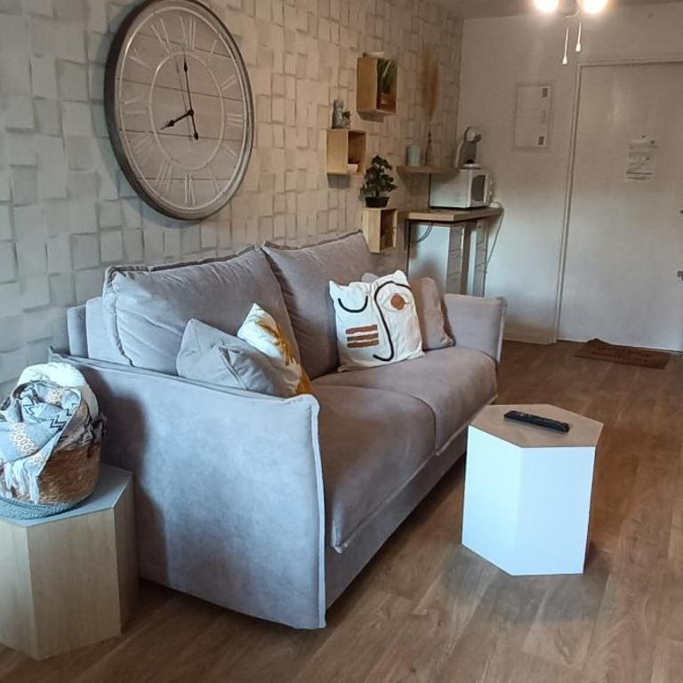 Appartement avec jardin plein sud- Clim wifi et parking - One-Bedroom Apartment - 9