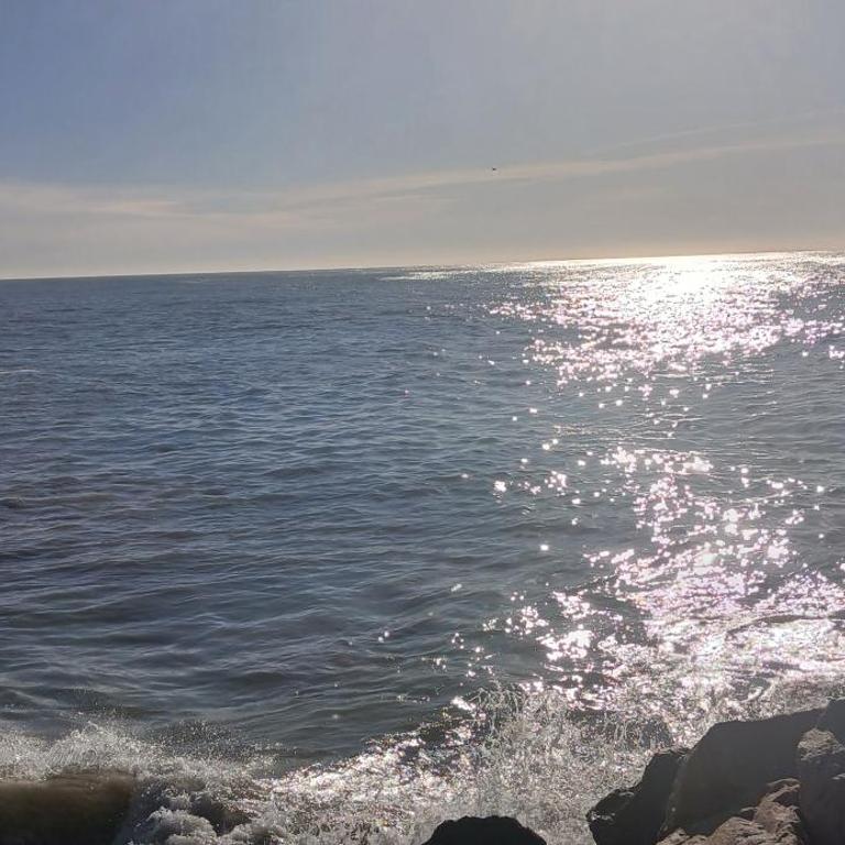 DEPARTAMENTO EN PLAZA COLON, 200 MTS DE LA PLAYA - Apartamento de 1 dormitorio - 2