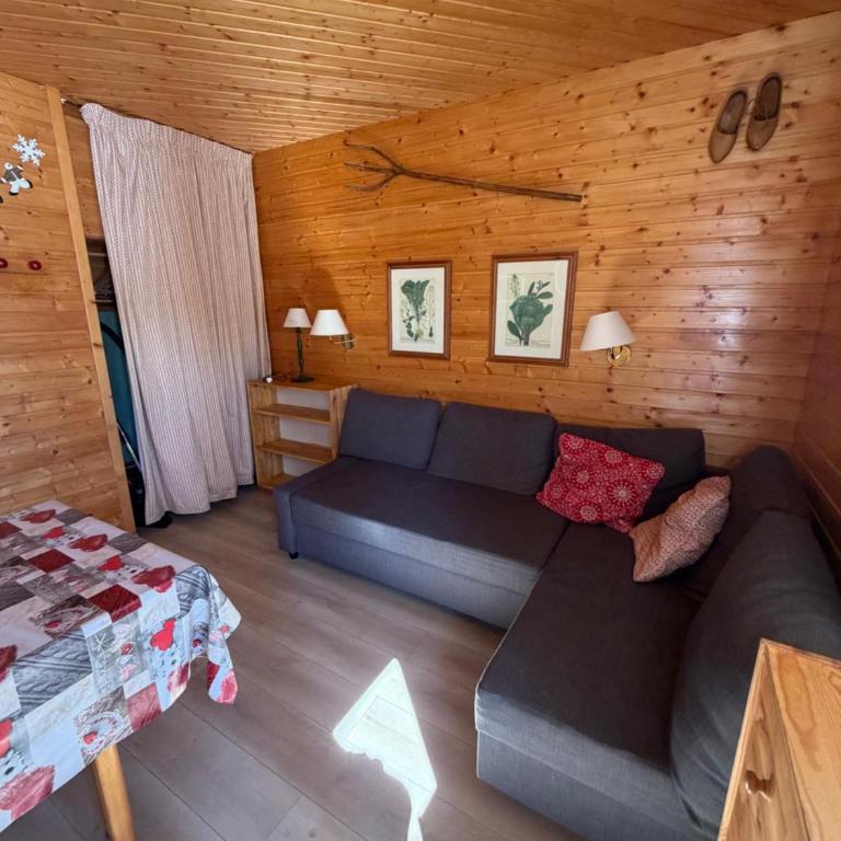 Duplex cosy jusqu'à 6 personnes- chalet des Pléiades - départ skis aux pieds en bordure de piste sans portage - au milieu des fleurs en été - l'autre duplex du chalet est également à nous - Chalet 2 Chambres - 32