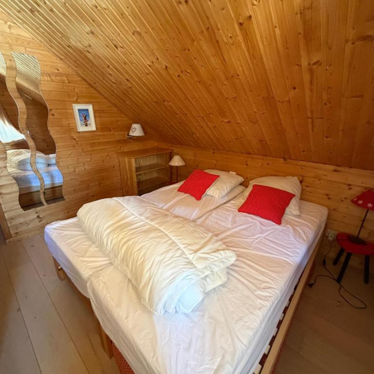 Duplex cosy jusqu'à 6 personnes- chalet des Pléiades - départ skis aux pieds en bordure de piste sans portage - au milieu des fleurs en été - l'autre duplex du chalet est également à nous - Chalet - 30
