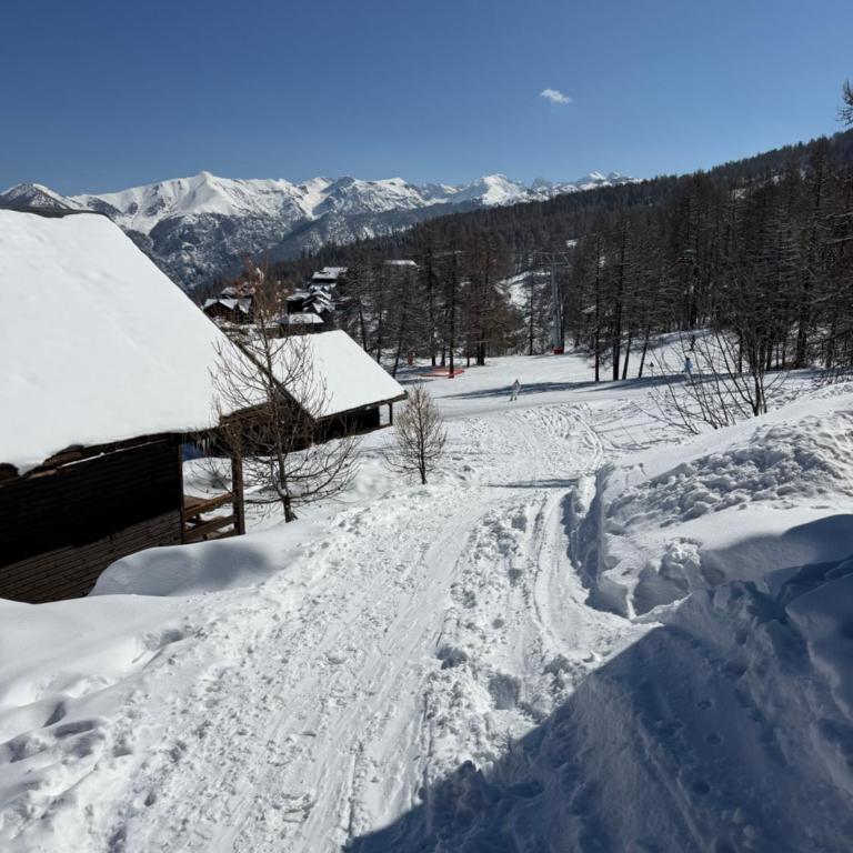 Duplex cosy jusqu'à 6 personnes- chalet des Pléiades - départ skis aux pieds en bordure de piste sans portage - au milieu des fleurs en été - l'autre duplex du chalet est également à nous - Chalet - 32