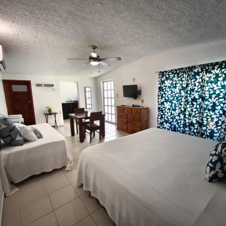 Azul Mar Diving and Lodge - Deluxe Studio - 4