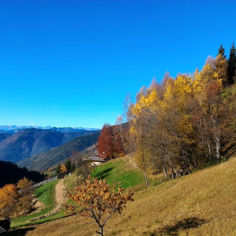 Il Cardo Trentino - Appartamento con 1 Camera da Letto - 7