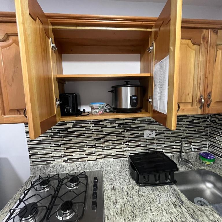 Villa flor 202 apartamento de lujo en Jerico - Apartamento de 1 dormitorio - 23