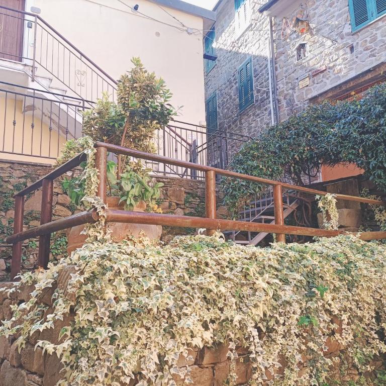 Casa Oleaster Cinque Terre - One-Bedroom Apartment - 14