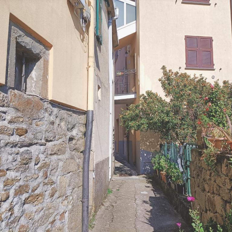 Casa Oleaster Cinque Terre - One-Bedroom Apartment - 13