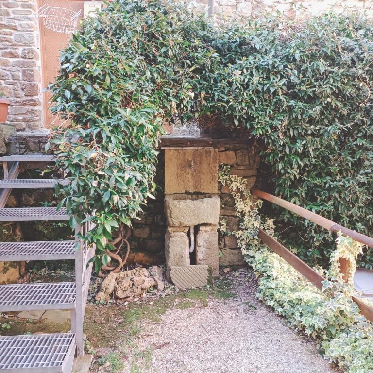 Casa Oleaster Cinque Terre - One-Bedroom Apartment - 17