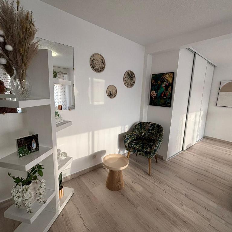 Lourdes luxury stay, proche Gare & Sanctuaire, Climatisation - Appartement 1 Chambre - 40