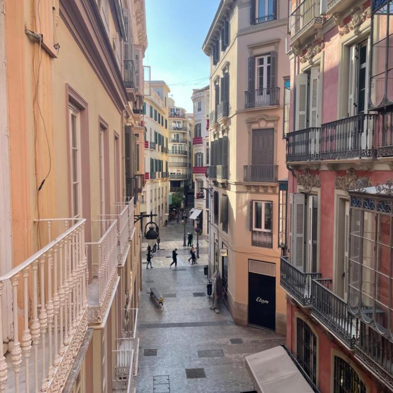 Catedral Larios Centro - Apartamento de 3 dormitorios - 2