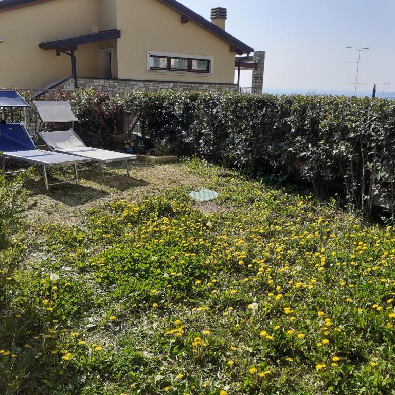 Limonaia38 - One-Bedroom Apartment - 2