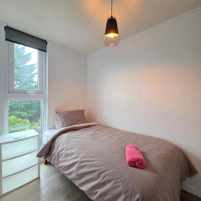 Encantador departamento full equipado Isla Teja - Apartamento de 2 dormitorios - 6