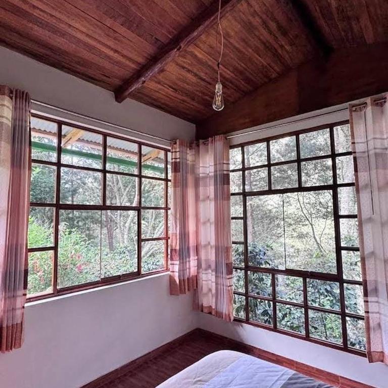 Lucmabamba Lodge - Habitación Doble con vistas a la montaña - 5