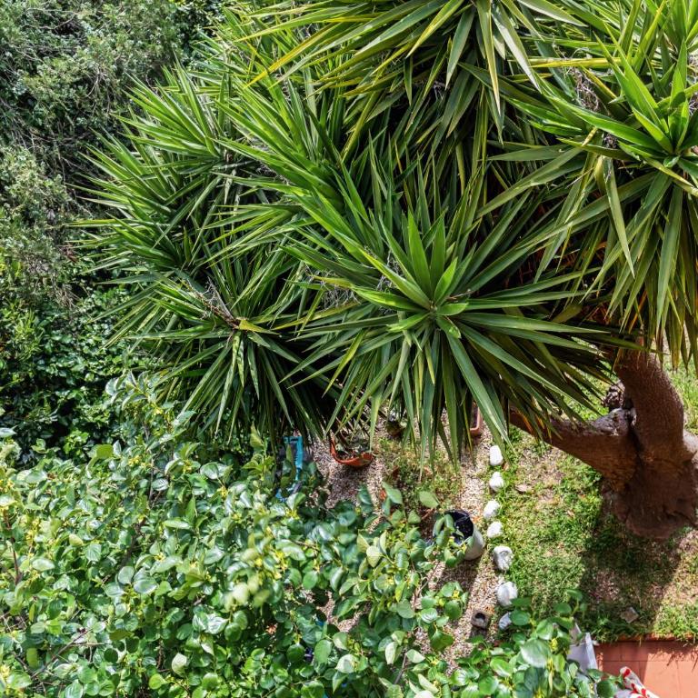 Vatican Green Oasis - Garden View Balcony & Full Kitchen - Appartamento con 2 Camere da Letto e Vista Giardino - 66