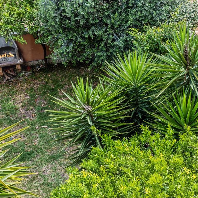 Vatican Green Oasis - Garden View Balcony & Full Kitchen - Appartamento con 2 Camere da Letto e Vista Giardino - 68