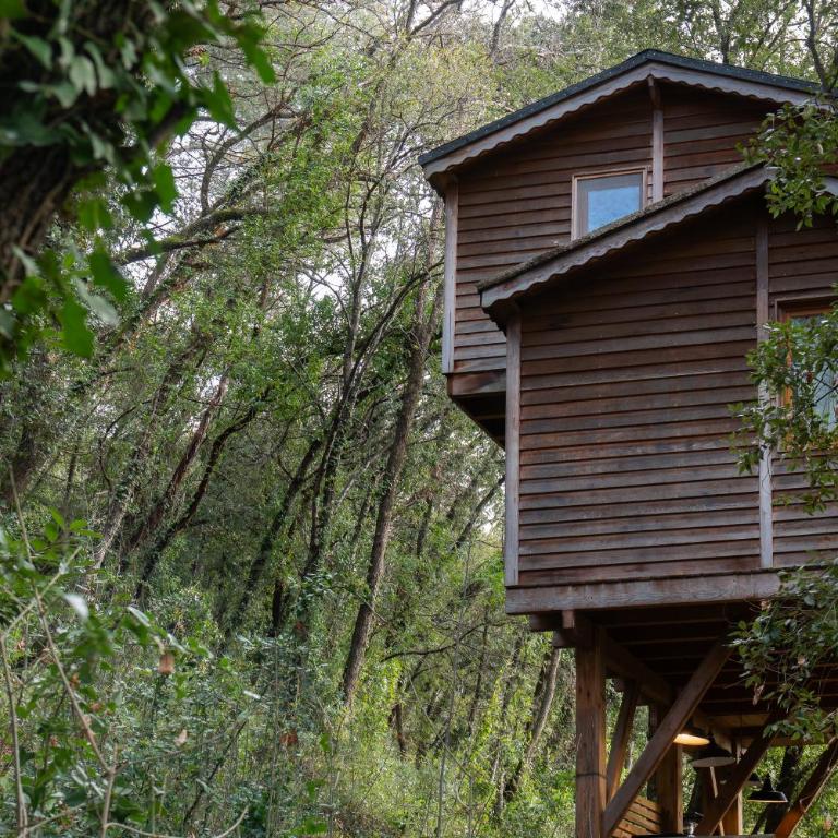 Orion Treehouses - Chalet de 2 dormitorios - 14