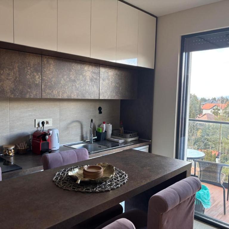 Apartman 67 Zlatibor - One-Bedroom Apartment - 5