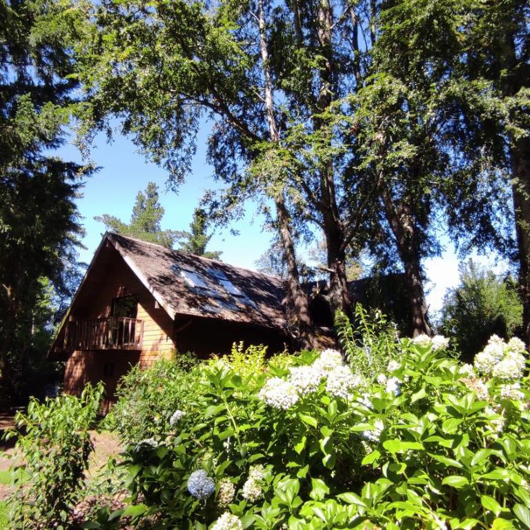Casa Las Bandurrias Pucón-Chile - Four-Bedroom House - 40