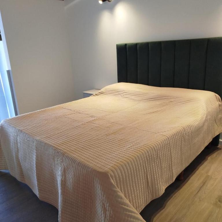 LAS CAMELIAS APARTs LOBOS 5 - Apartamento Dúplex - 3