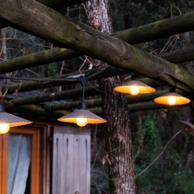 Orion Treehouses - Chalet de 2 dormitorios - 4