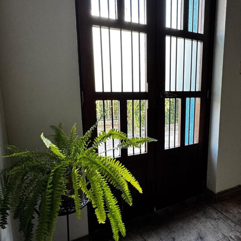 Departmento en Barrio Antiguo - One-Bedroom Apartment - 19