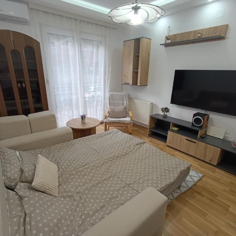 Cozy Family 4, Centar NS, Smart TV, Self Check-in - Apartman sa 1 Spavaćom Sobom - 17