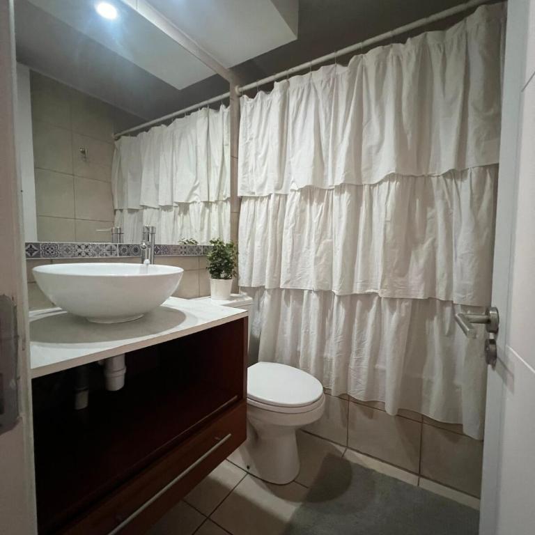 Top Accommodation in Providencia - One-Bedroom Superior Apartment - 20