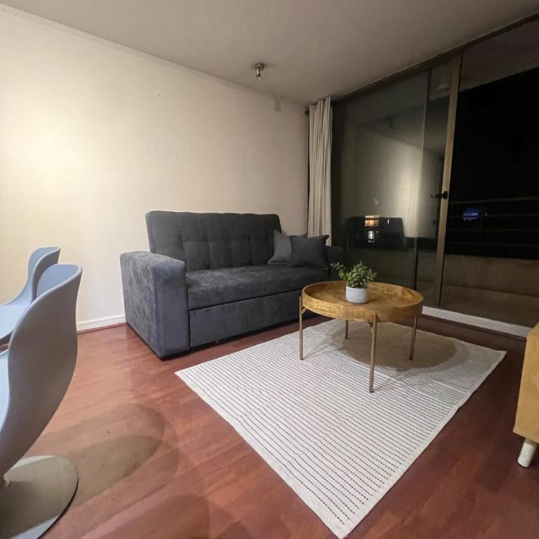 Top Accommodation in Providencia - One-Bedroom Superior Apartment - 10