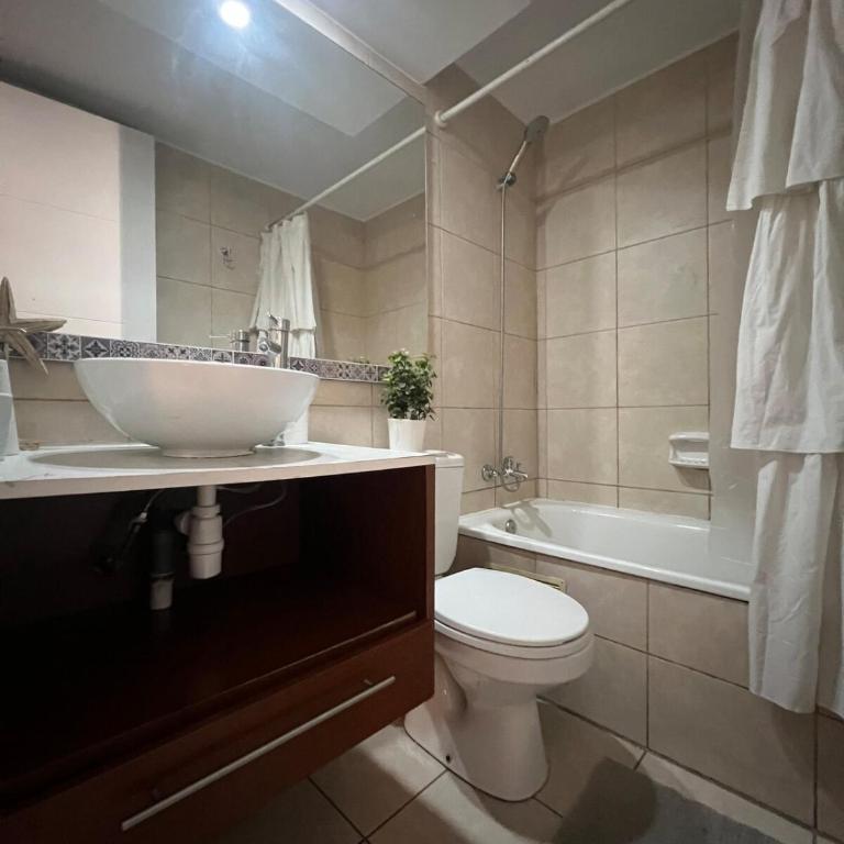 Top Accommodation in Providencia - One-Bedroom Superior Apartment - 4