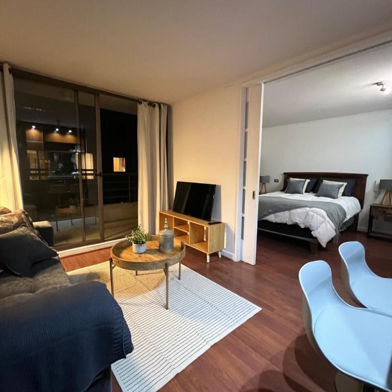 Top Accommodation in Providencia - One-Bedroom Superior Apartment - 7